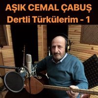 Постер песни Aşık Cemal Çabuş - Gidiyorum Dünyadan