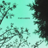 Постер песни Peach Gardens - Wintry