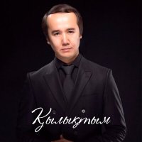 Постер песни Мақсат Андешбаев - Қылықтым