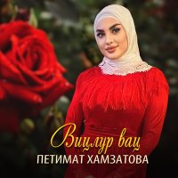 Постер песни Петимат Хамзатова - Вицлур вац