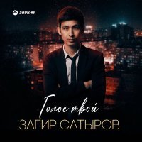 Постер песни Загир Сатыров - Голос твой