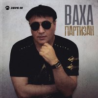 Постер песни ВАХА - Партизан