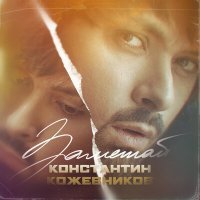 Постер песни Константин Кожевников - Заметай