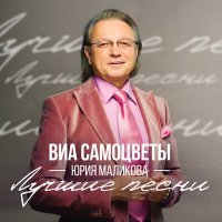 Постер песни ВИА Самоцветы Юрия Маликова - Мой адрес – Советский Союз