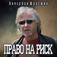 Постер песни Вячеслав Малежик - Держи нос по ветру