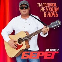 Постер песни Александр Берег - Ты подожди, не уходи в ночь