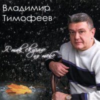 Постер песни Владимир Тимофеев - Мужские слёзы