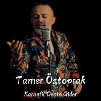 Постер песни Tamer Öztoprak - Karanfil Deste Gider