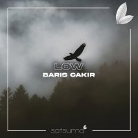 Постер песни Barış Çakır - Low