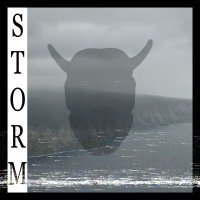 Постер песни DEXDLYPLAYA, askat - Storm