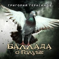 Постер песни Григорий Герасимов - Баллада о голубе