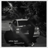 Постер песни agony prince - White Night