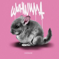 Постер песни HOMIE - Шиншилла