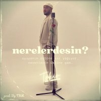 Постер песни Tekir - Nerelerdesin?