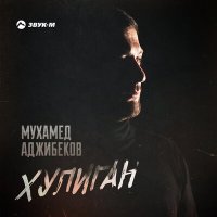 Постер песни Мухамед Аджибеков - Хулиган