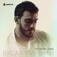 Постер песни Вусал Мирзаев - Потерял тебя