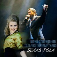 Постер песни Юрий Спиридонов - Белая роза