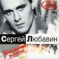 Постер песни Сергей Любавин - Волчонок