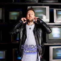 Постер песни Bridgy - Radiolife