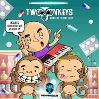Постер песни Two Monkeys - Clonazepunk
