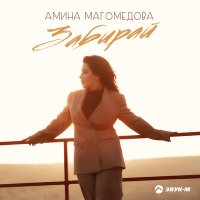 Постер песни Амина Магомедова - Забирай