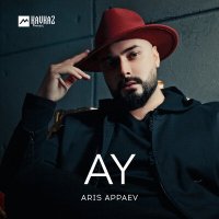 Постер песни Aris Appaev - AY