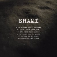 Постер песни Shami - Не расставайтесь с любимыми