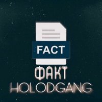 Постер песни HOLODGANG - Факт