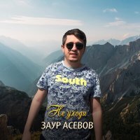 Постер песни Заур Асевов - Не уходи