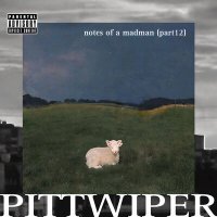 Постер песни PittWiper - notes of a madman, Pt. 12