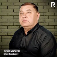 Постер песни Зоир Турдиев - O'zga yurtda ishlab yurganlar