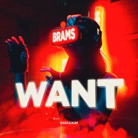 Постер песни Brams - Want