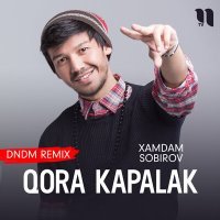 Постер песни Хамдам Собиров - Qora kapalak (DNDM remix)