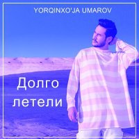 Постер песни Ёркинхужа Умаров - Долго летели