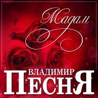 Постер песни Владимир Песня - Мадам