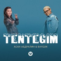 Постер песни Асан Абдралин, Baygun - Tentegim