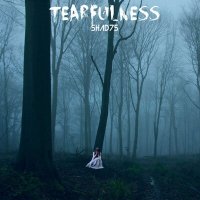 Постер песни Shad75 - Tearfulness