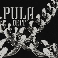 Постер песни Deit - PULA