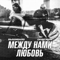 Постер песни ВыШибало, Zayacman - Между нами любовь