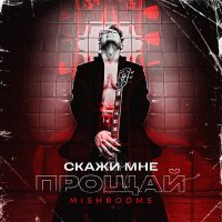Постер песни MishRooms - Скажи Мне Прощай