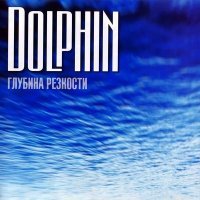 Постер песни Дельфин - Дверь