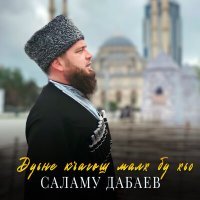 Постер песни Саламу Дабаев - Дуьне къагош малх бу хьо