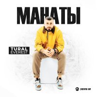 Постер песни Tural Everest - Манаты