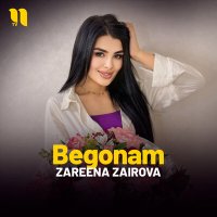 Постер песни Zareena Zairova - Begonam