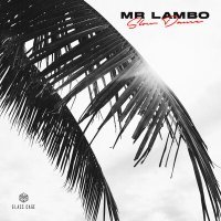 Постер песни Mr Lambo - Slow Dance