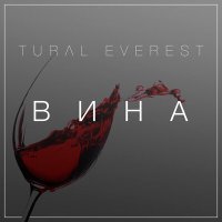 Постер песни Tural Everest - Вина