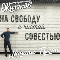 Постер песни Константин Жиляков - Судьба
