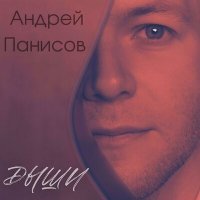 Постер песни Андрей Панисов - Дыши