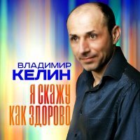 Постер песни Владимир Келин - Я скажу как здорово