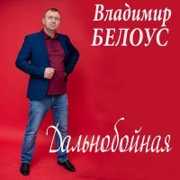 Постер песни Владимир Белоус - Дальнобойная